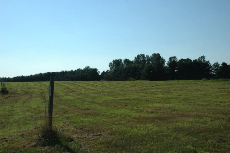 Lot 16 - view 4