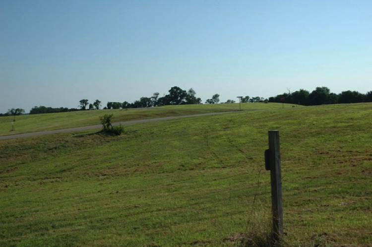 Lot 16 - view 5