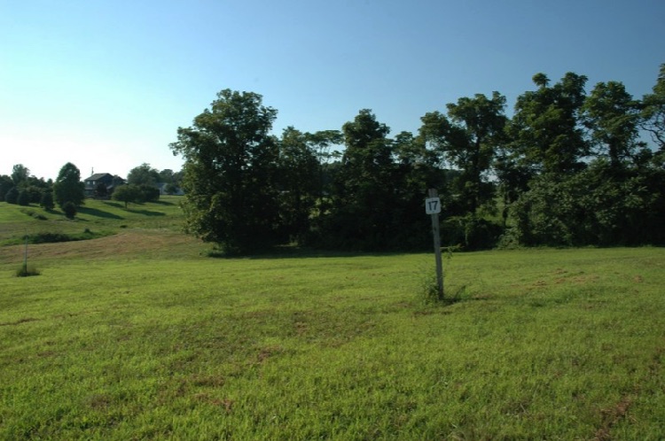 Mountain Meadow Estates - Lot 17