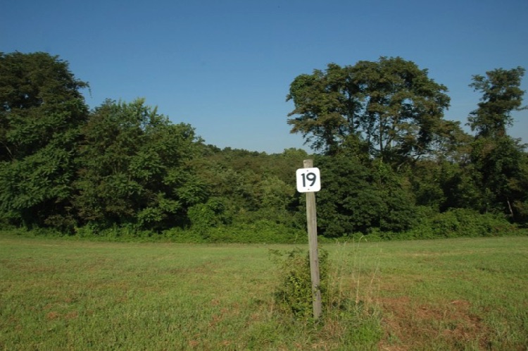 Lot 19 - view 1