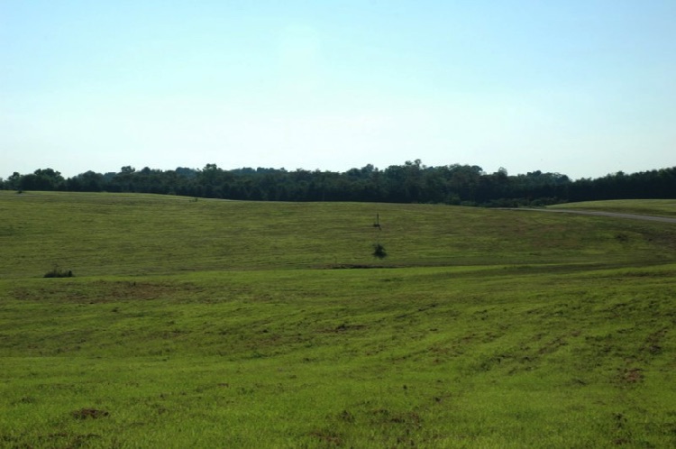 Lot 19 - view 2