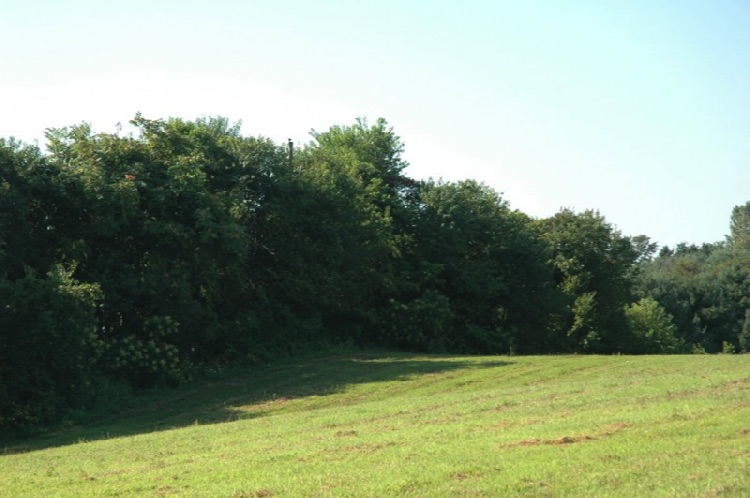 Lot 9 - view 3